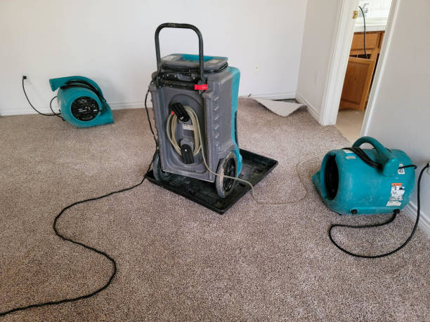 Best Water damage cleanup near me  in South Bay, FL