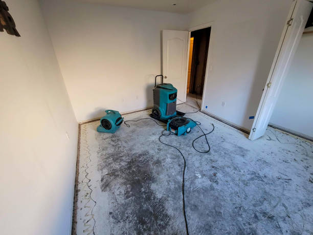  South Bay, FL Water damage restoration Pros