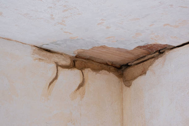 Best Sewage cleanup and water damage restoration  in South Bay, FL