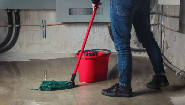 Best Flood restoration services  in South Bay, FL