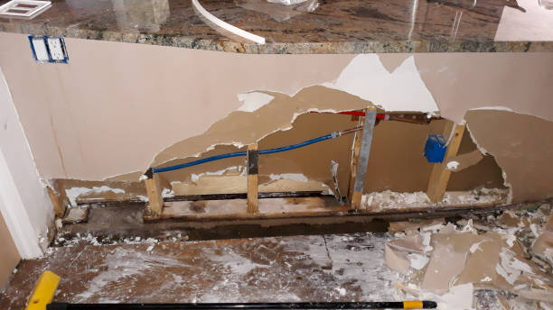 Best Water damage repair service  in South Bay, FL
