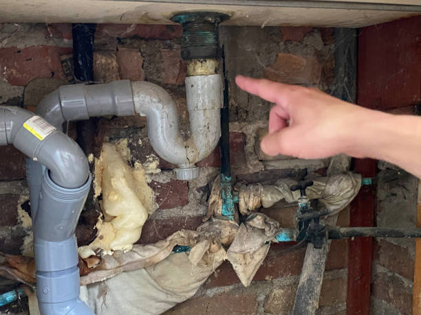 Best Fire Damage Restoration  in South Bay, FL